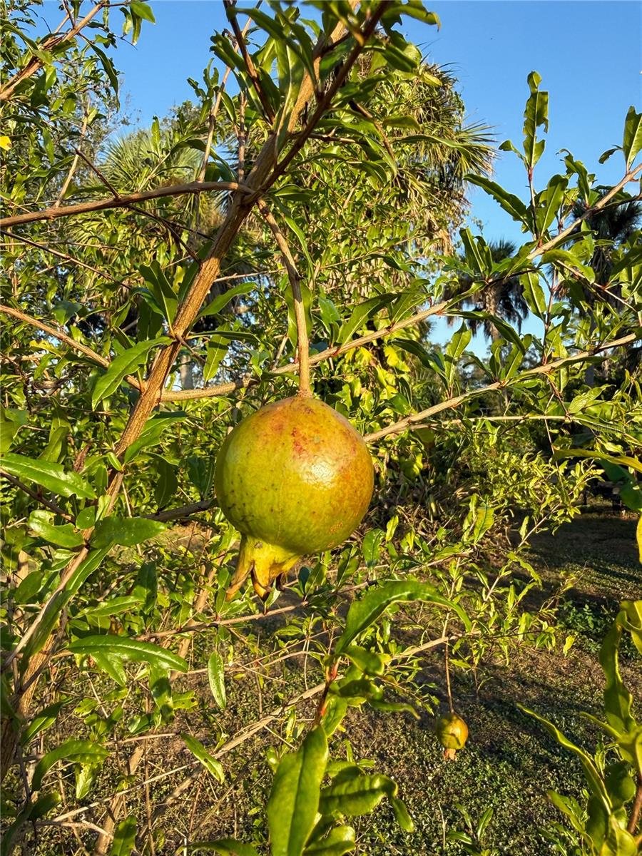 Image 43 of 45 For 2750 Abbotsford Street