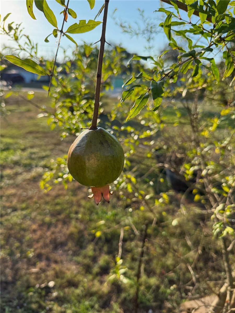 Image 44 of 45 For 2750 Abbotsford Street