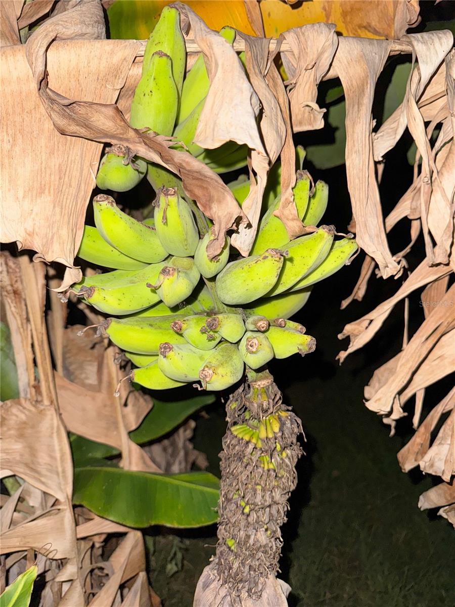 Image 45 of 45 For 2750 Abbotsford Street