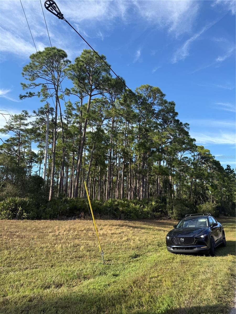 Image 11 of 27 For Tropicaire Boulevard