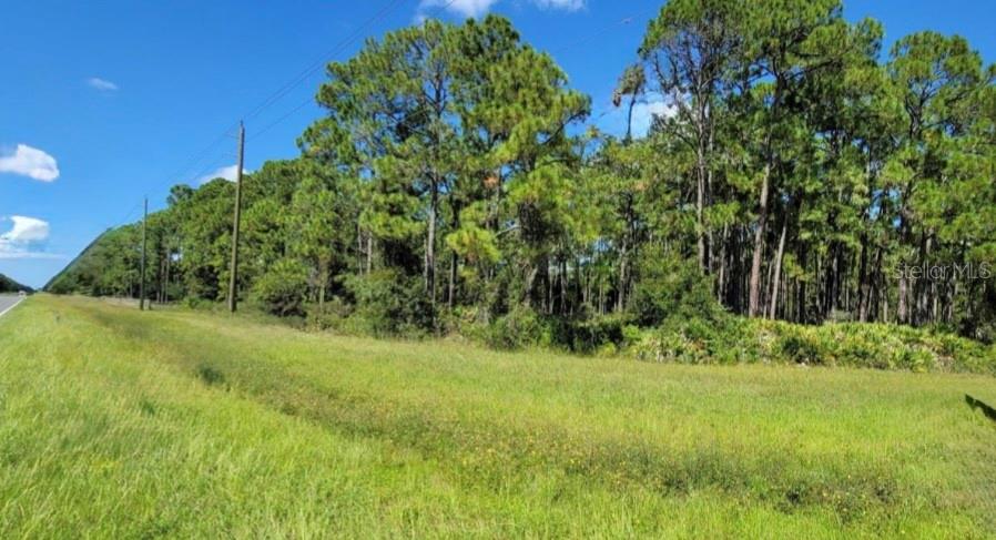 Image 14 of 27 For Tropicaire Boulevard