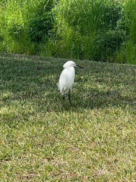 Image 40 of 43 For 12424 Grouse Avenue 15a