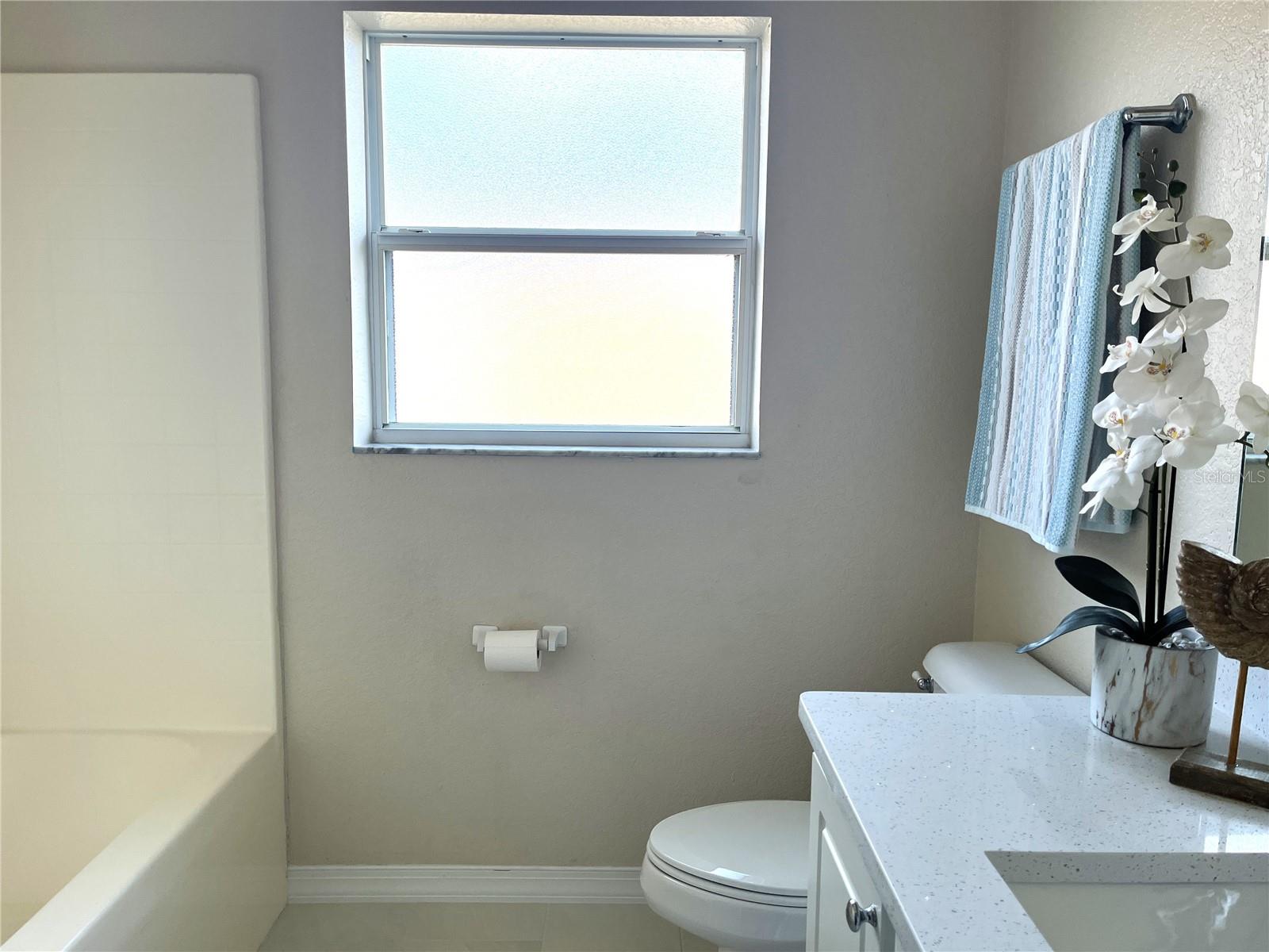 Listing photo id 31 for 117 Angol Street