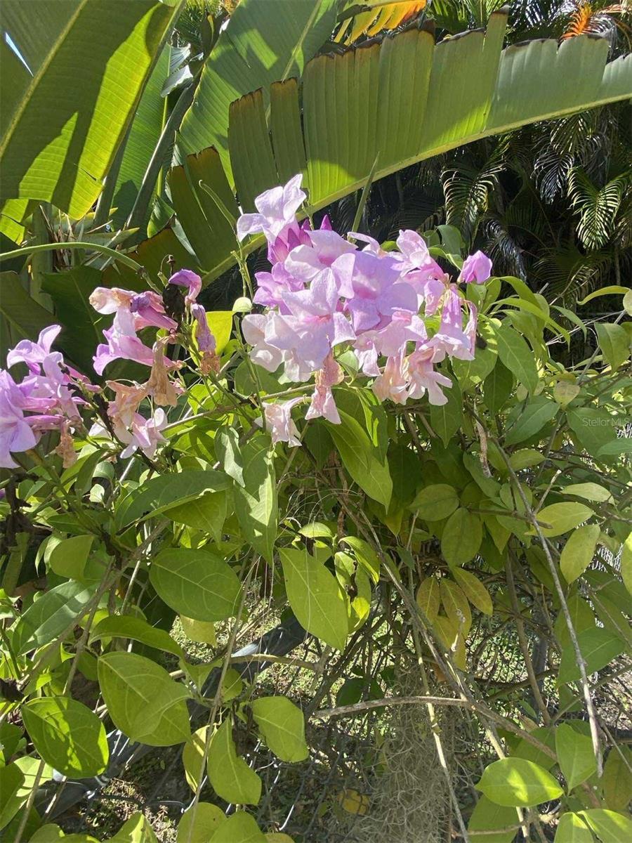 Image 42 of 52 For 27511 Cleveland Avenue