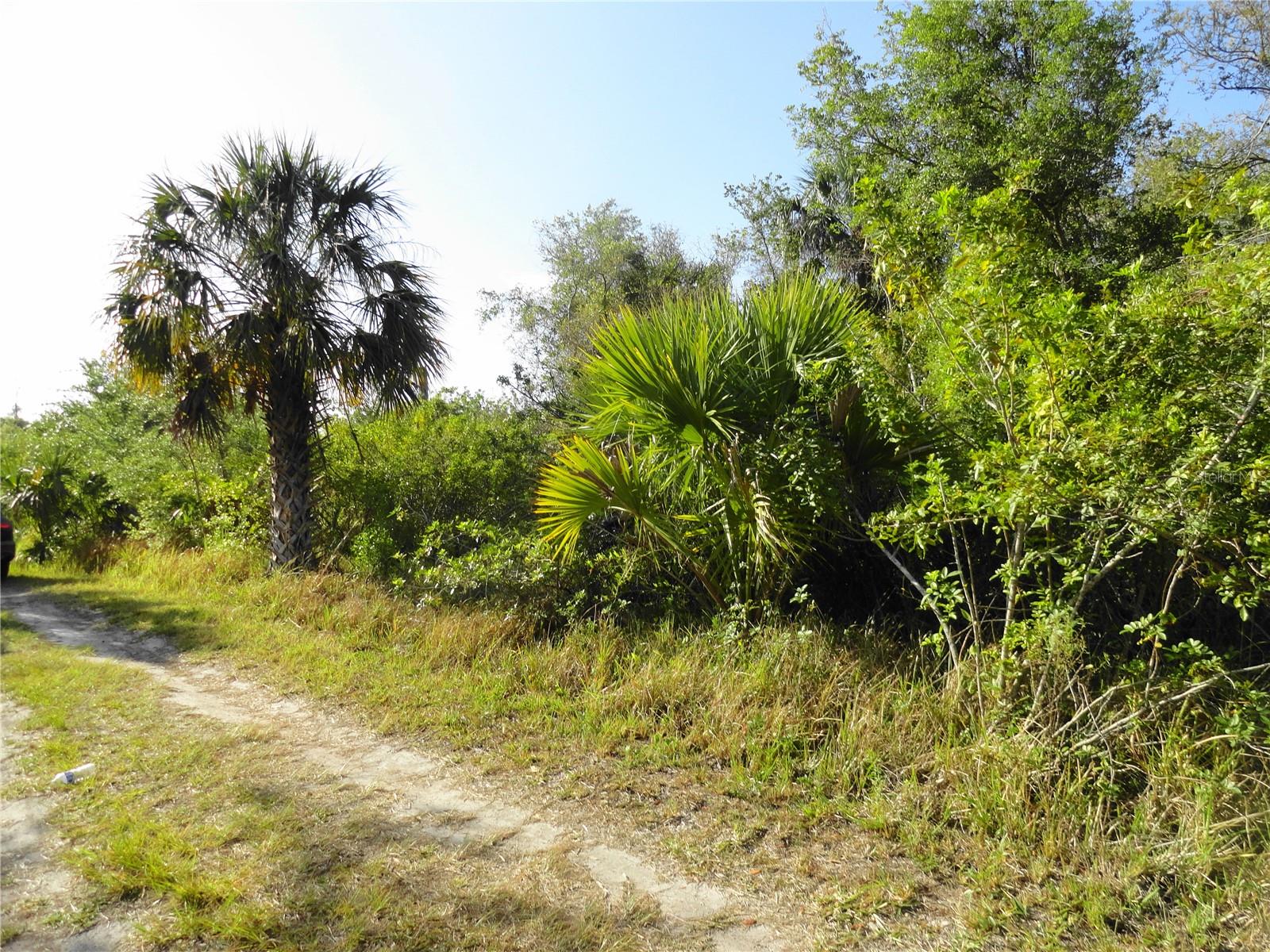 Image 5 of 7 For 1357 Beauregard Court