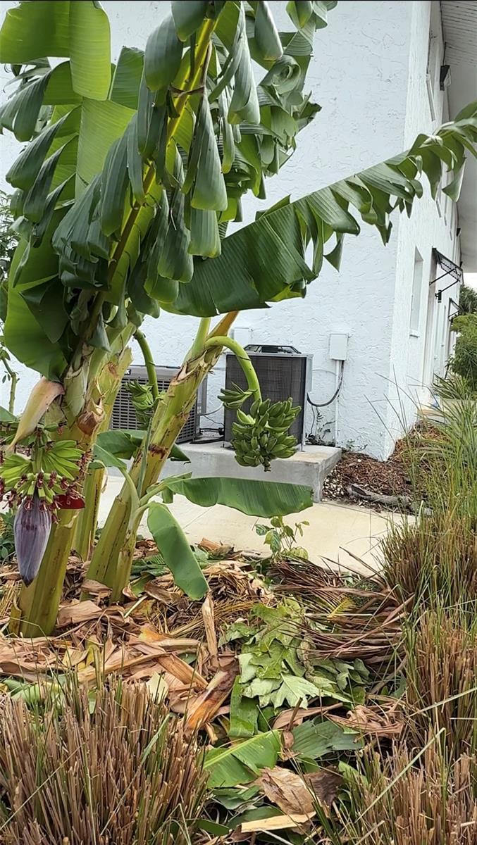 Image 28 of 35 For 146 Boundary Boulevard B202