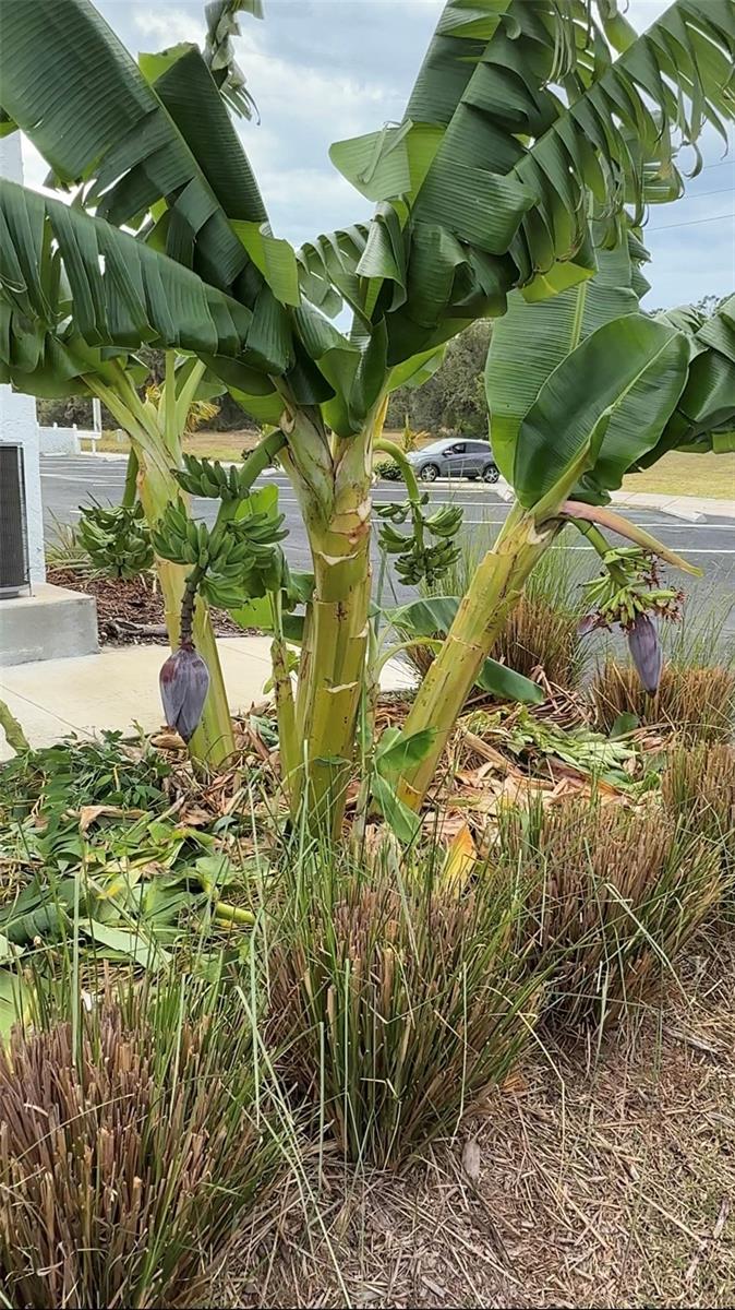 Image 29 of 35 For 146 Boundary Boulevard B202