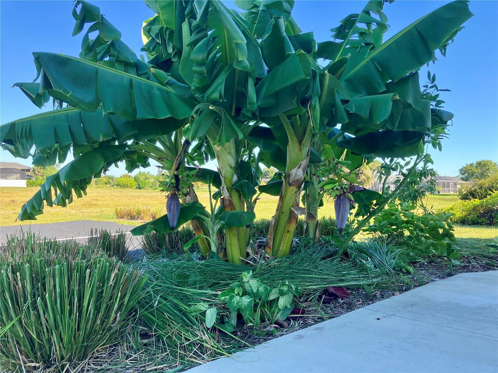 Image 33 of 35 For 146 Boundary Boulevard B202