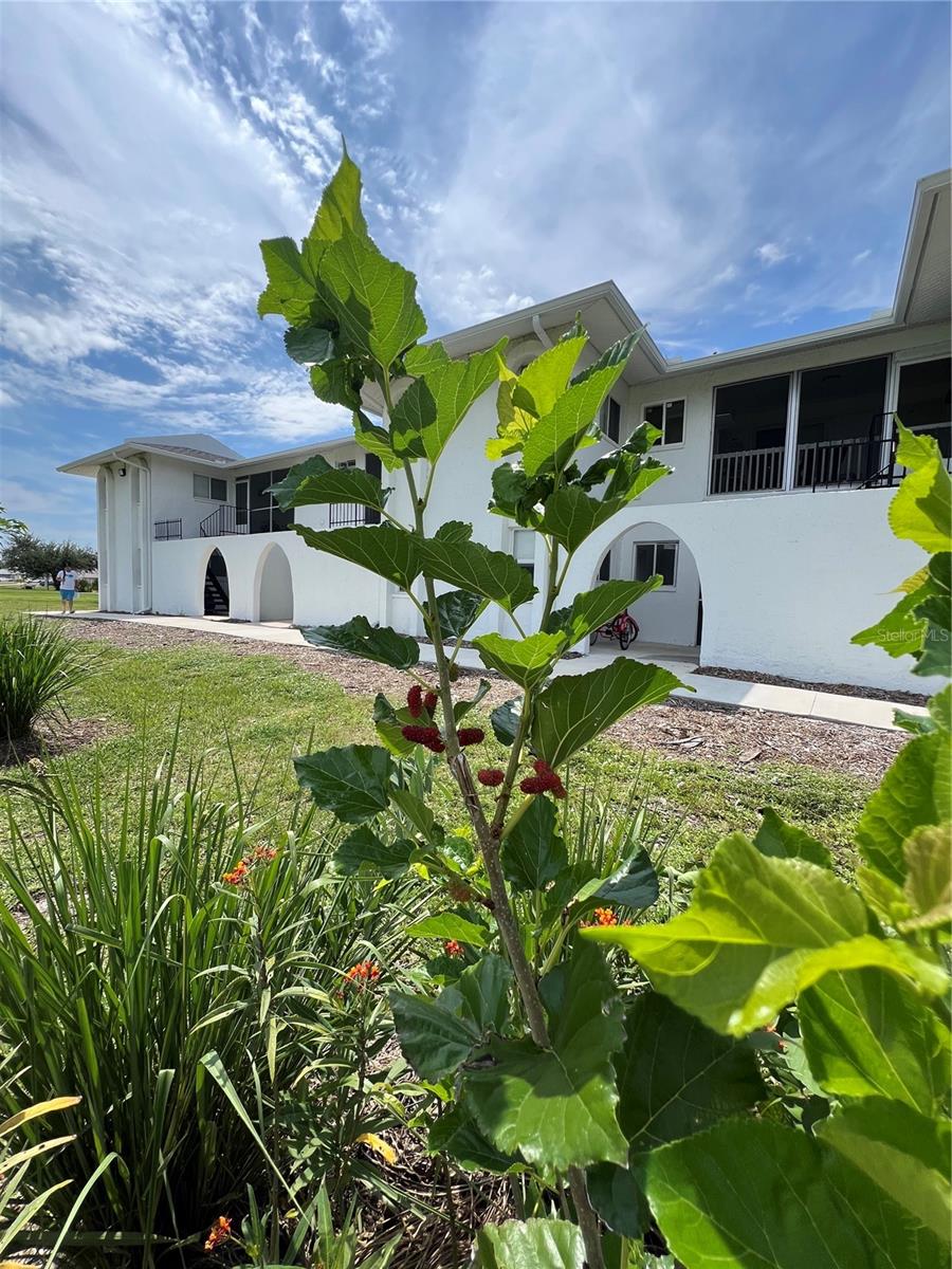 Image 35 of 35 For 146 Boundary Boulevard B202