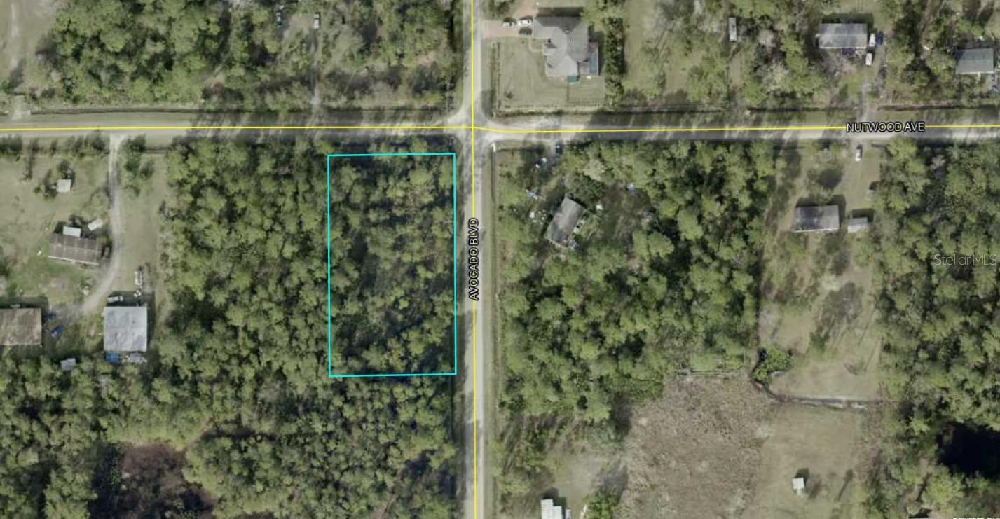 Details for 5958 Nutwood Avenue, BUNNELL, FL 32110