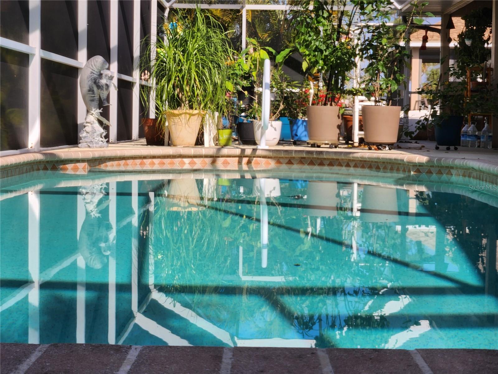 Listing photo id 3 for 193 Pine Valley Lane