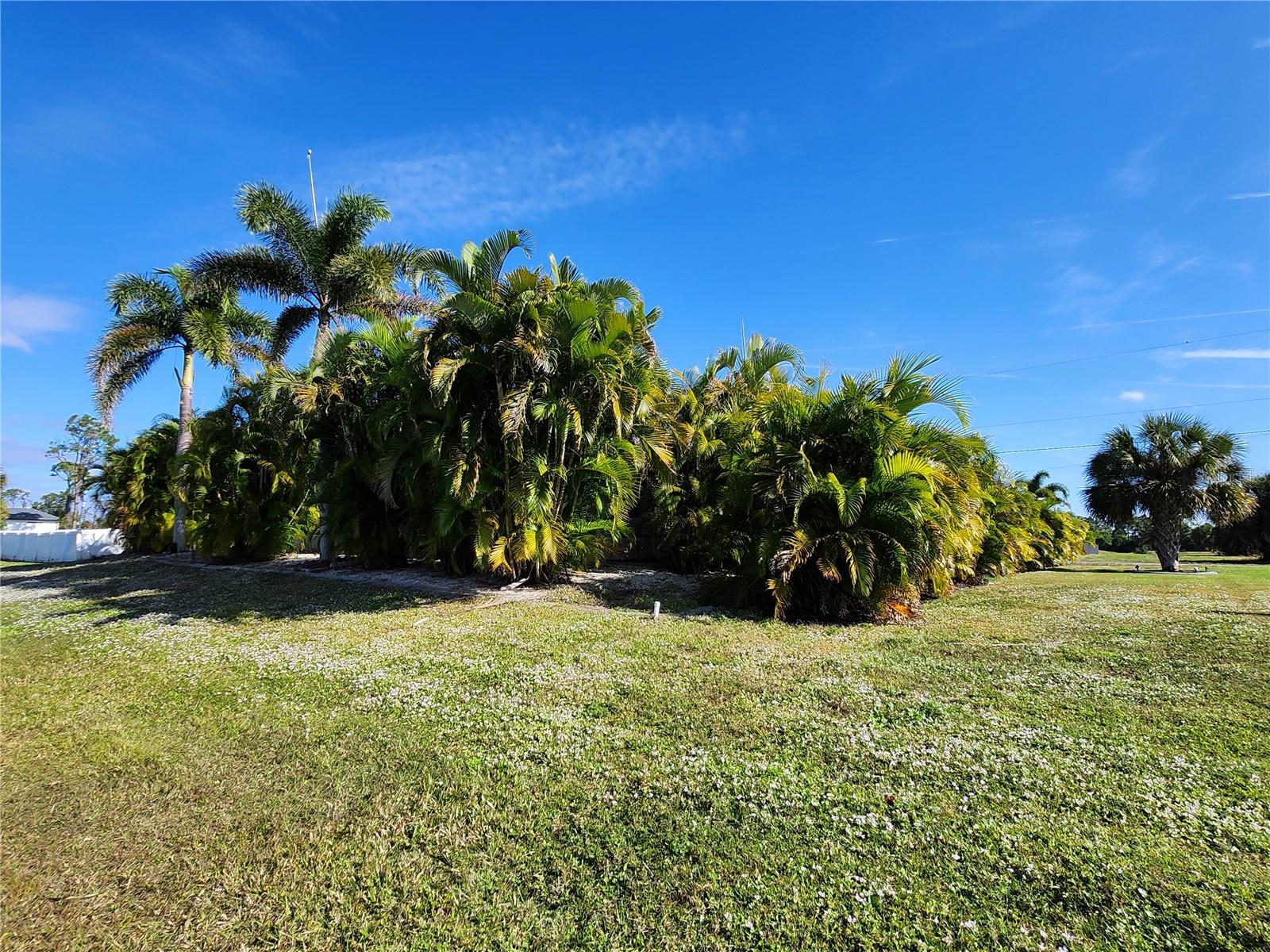 Listing photo id 5 for 193 Pine Valley Lane