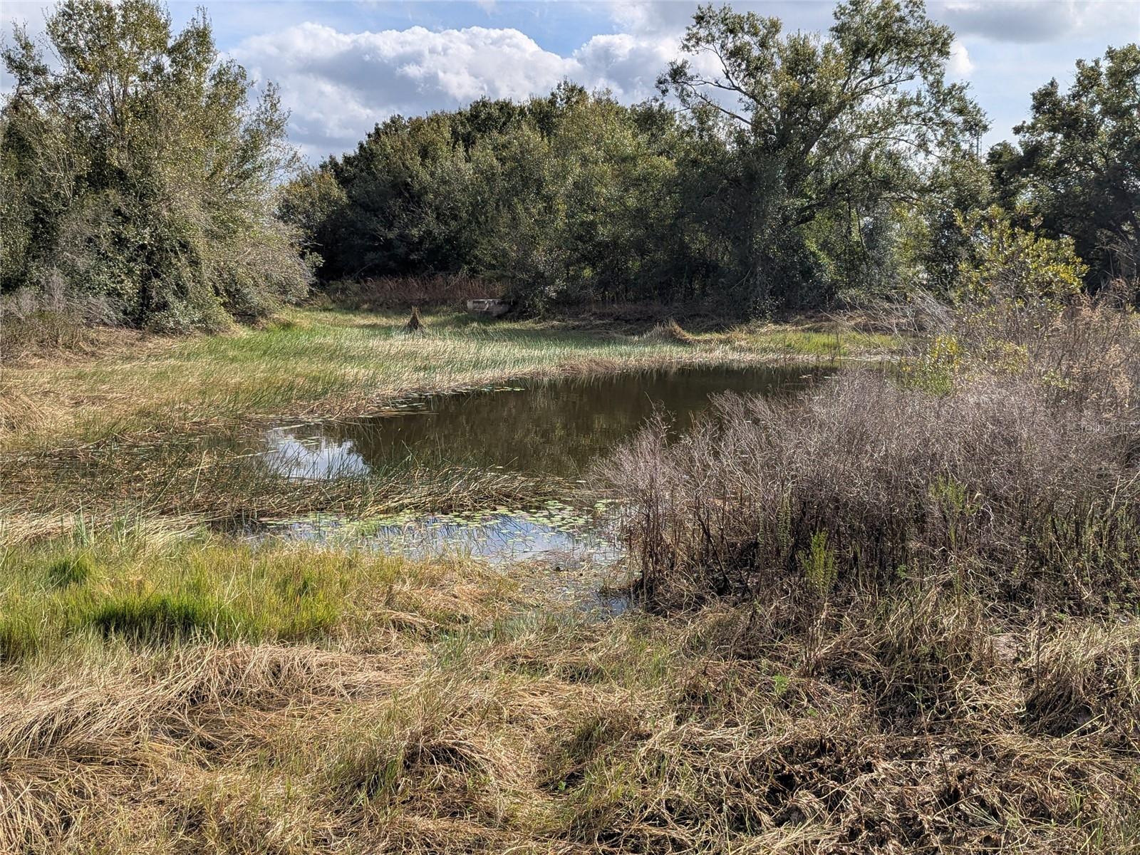 Image 36 of 56 For 4508 Wheat Avenue