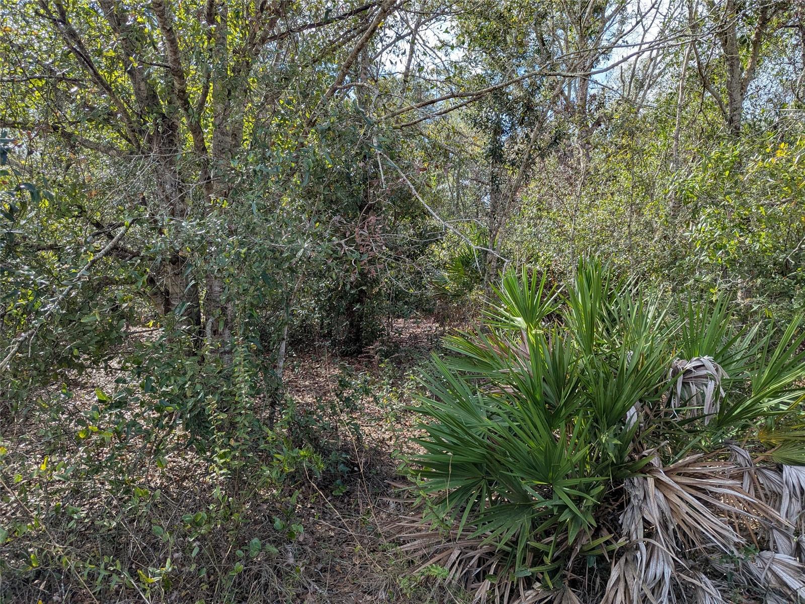 Image 37 of 56 For 4508 Wheat Avenue