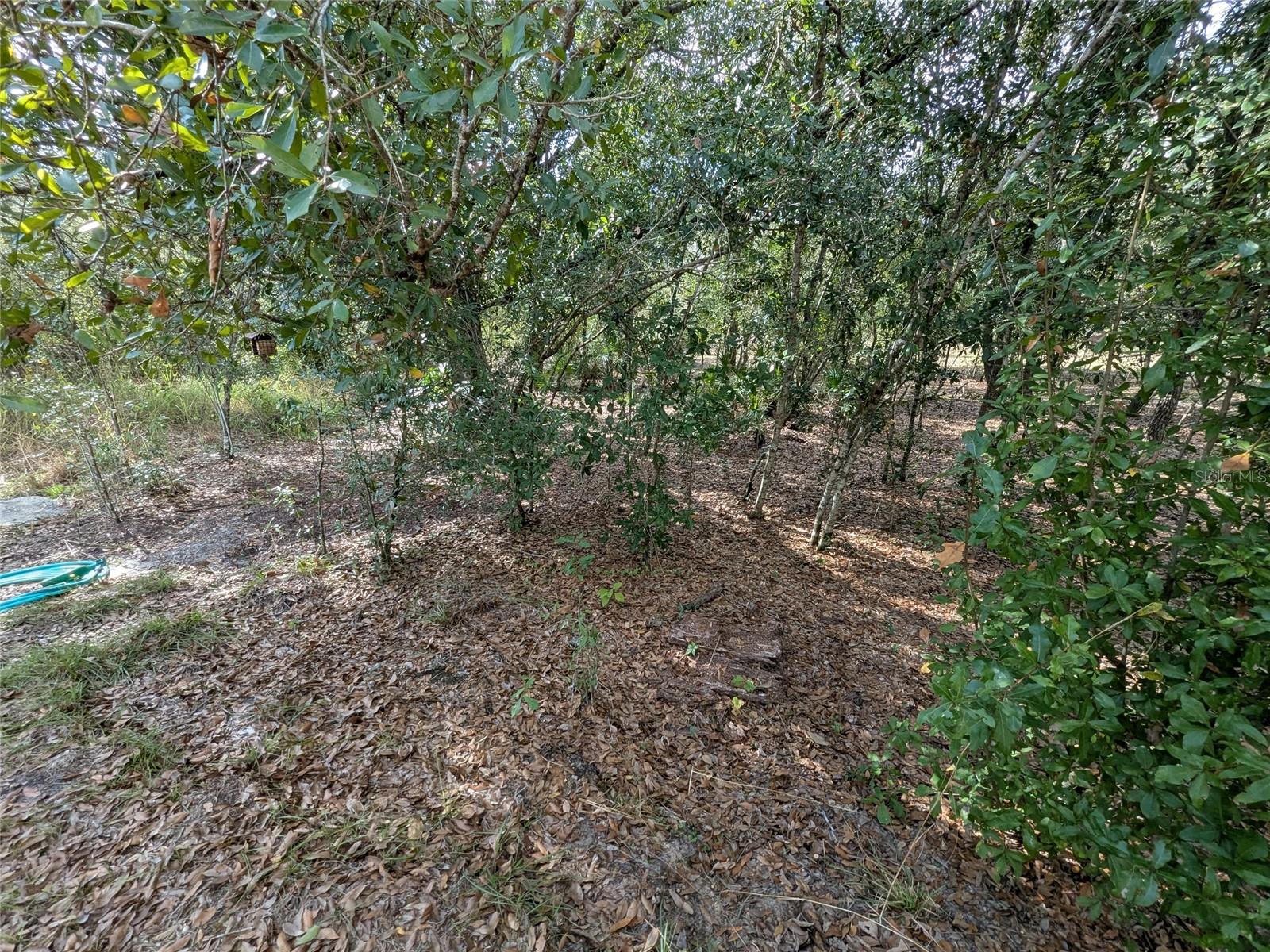 Image 42 of 56 For 4508 Wheat Avenue