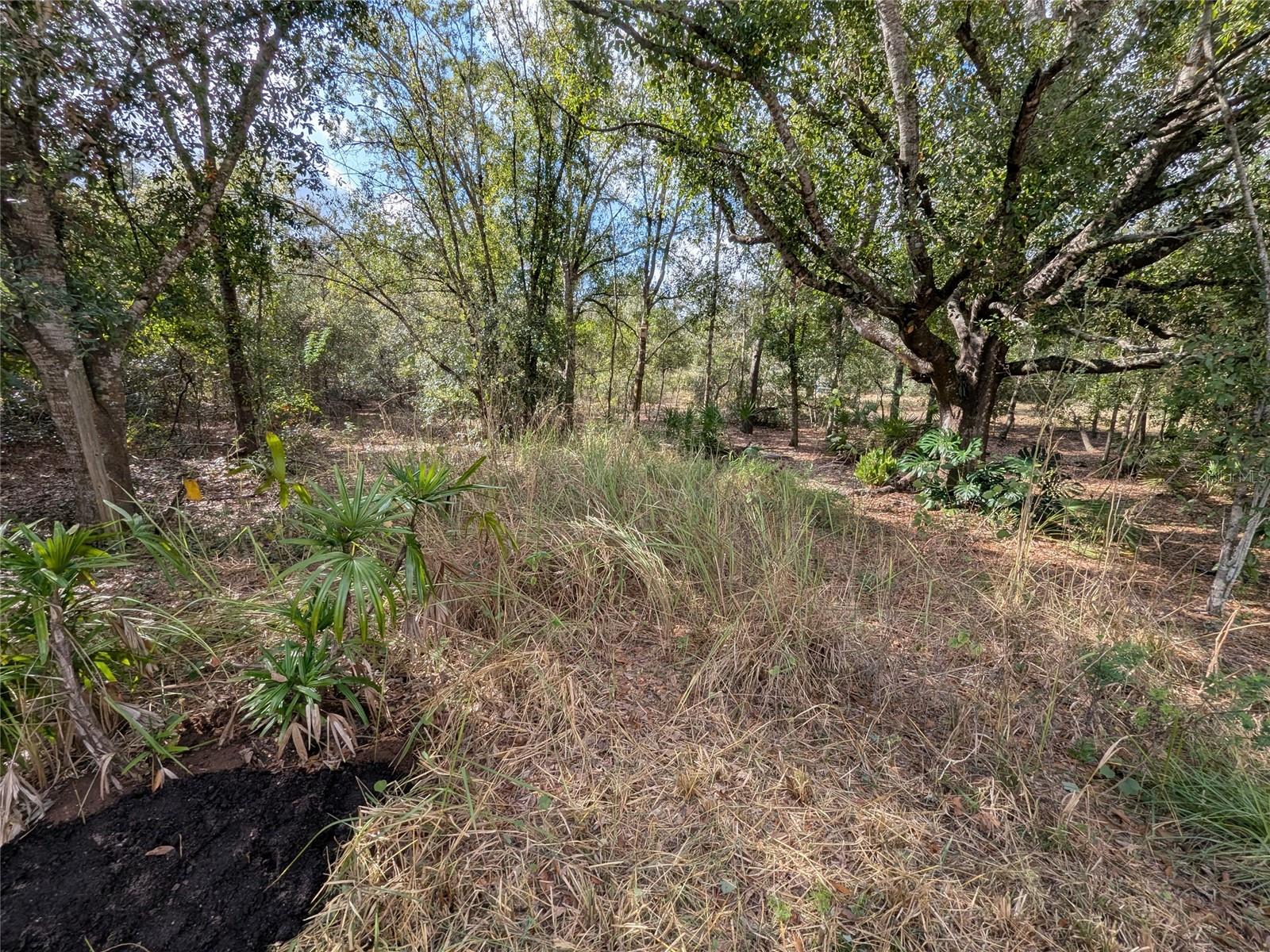 Image 43 of 56 For 4508 Wheat Avenue