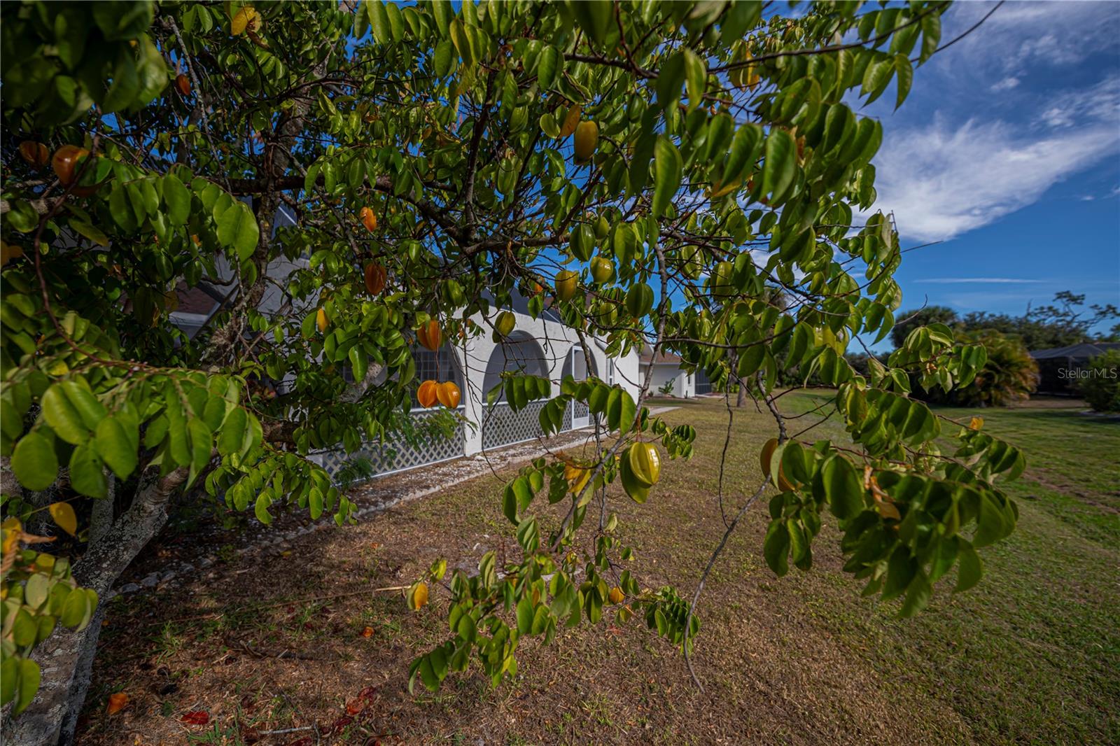 Image 72 of 93 For 26071 Paysandu Drive