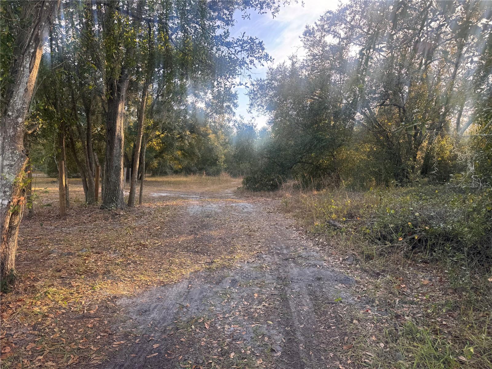 Image 3 of 14 For 3960 Bachtold Drive