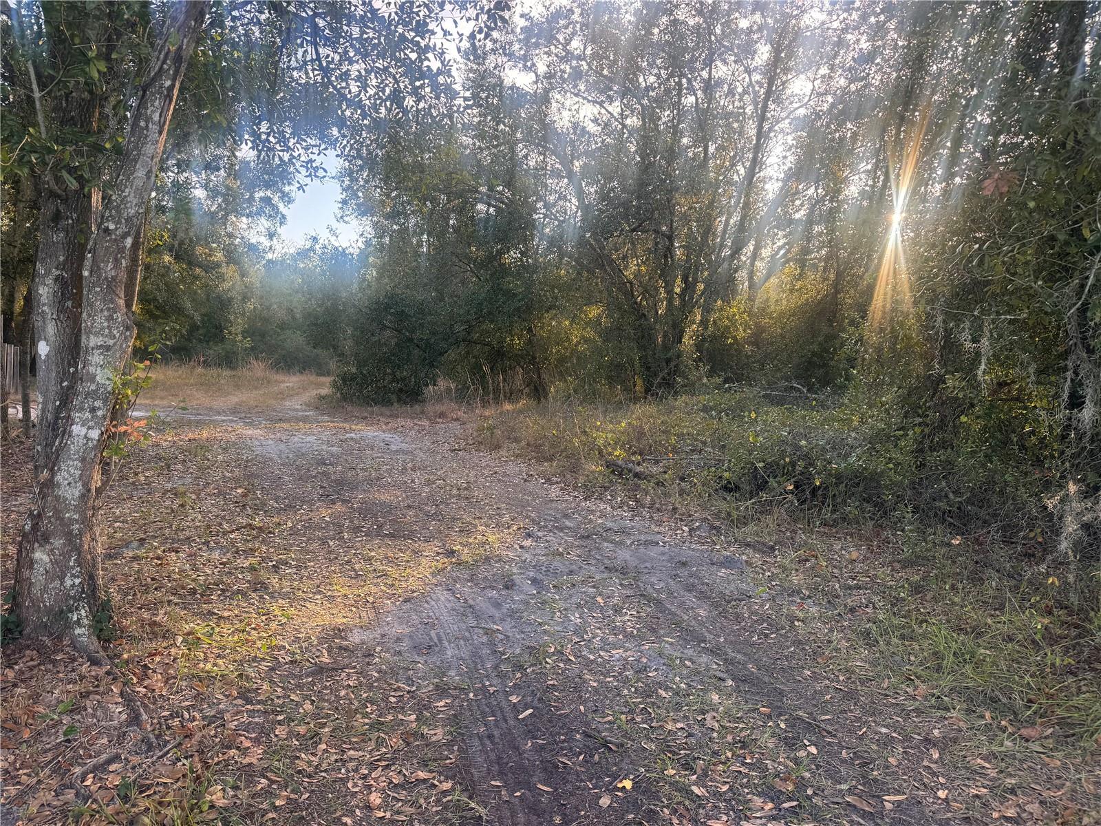 Image 5 of 14 For 3960 Bachtold Drive