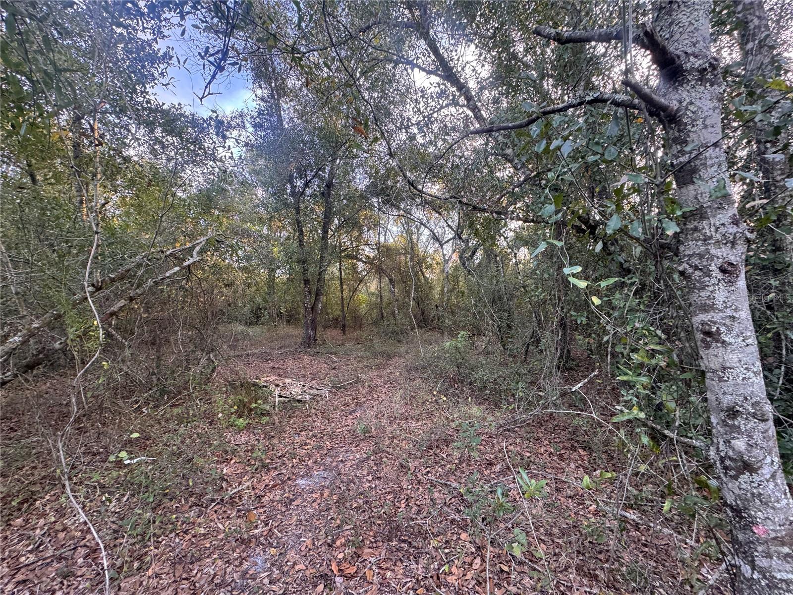 Image 6 of 14 For 3960 Bachtold Drive