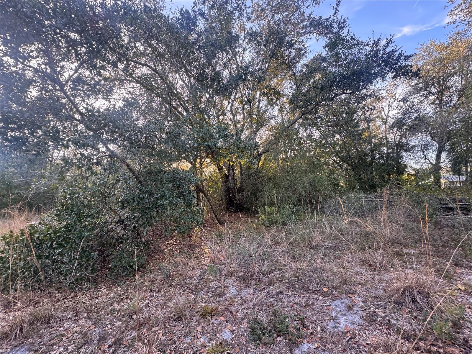 Image 7 of 14 For 3960 Bachtold Drive