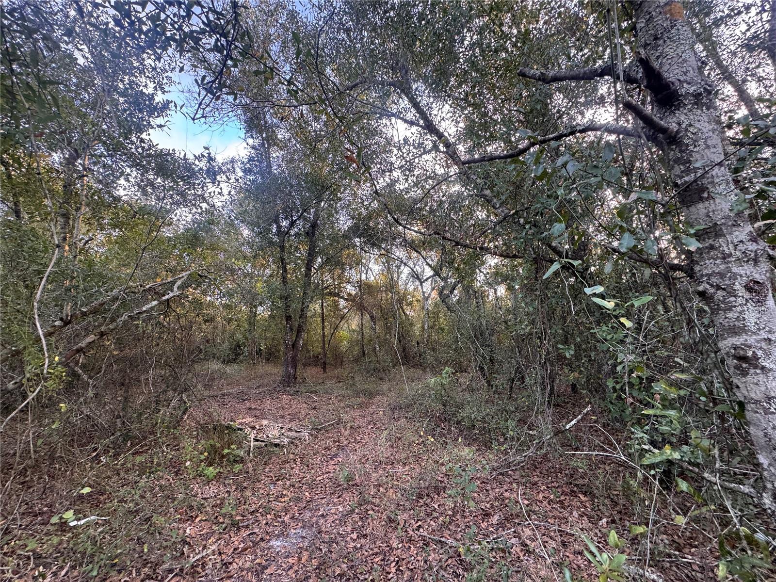 Image 9 of 14 For 3960 Bachtold Drive