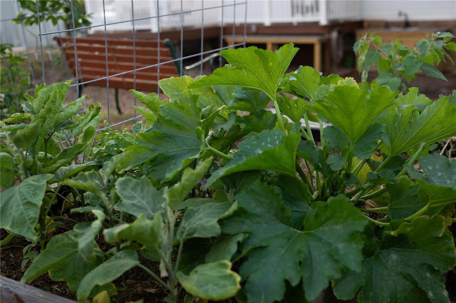 Image 50 of 58 For 5516 Maze Drive