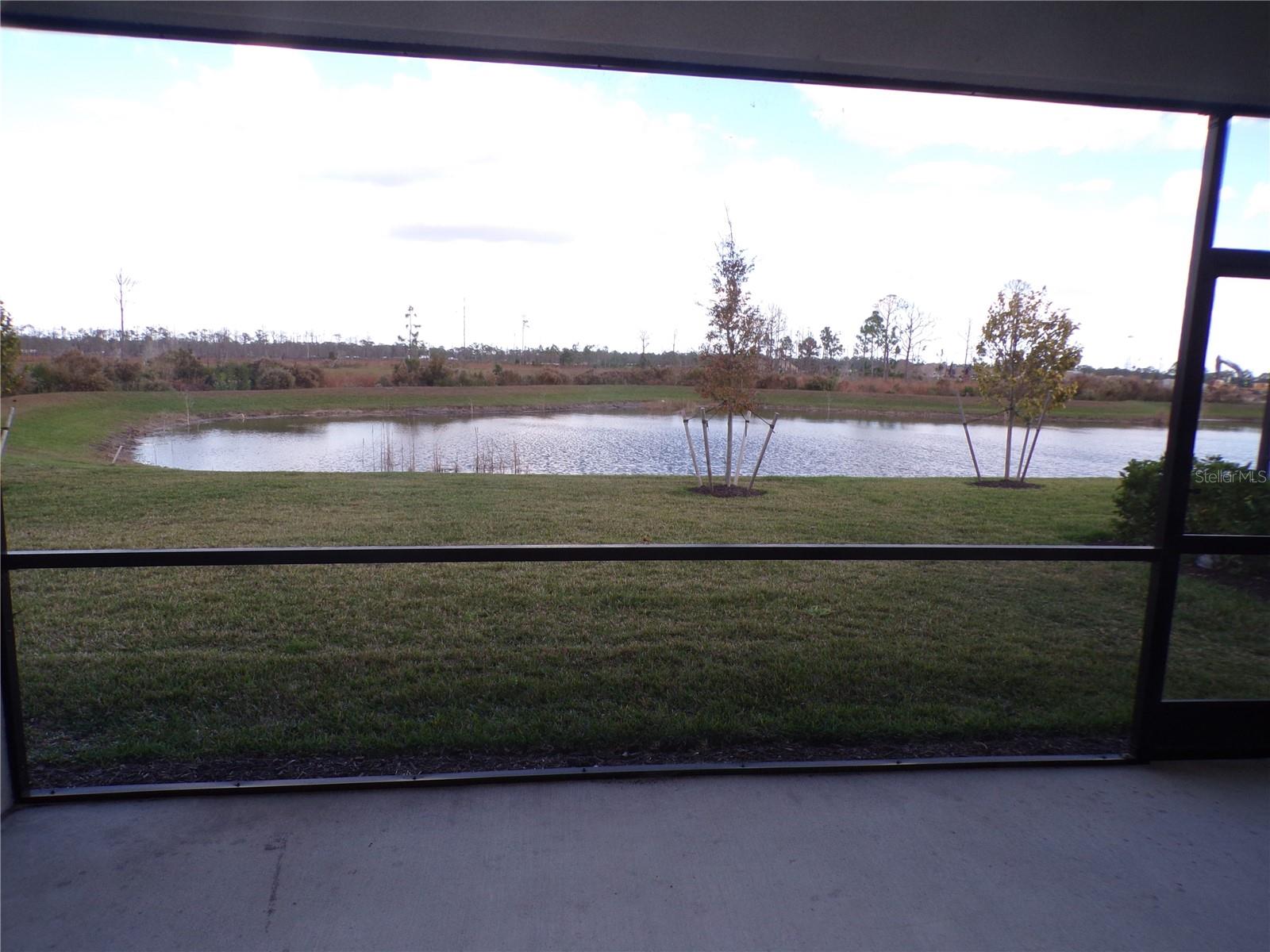 Image 18 of 50 For 11369 Willowleaf Boulevard