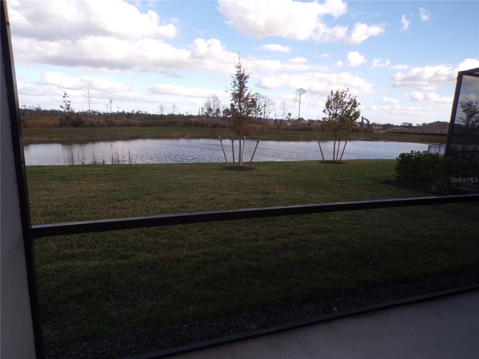 Image 20 of 50 For 11369 Willowleaf Boulevard