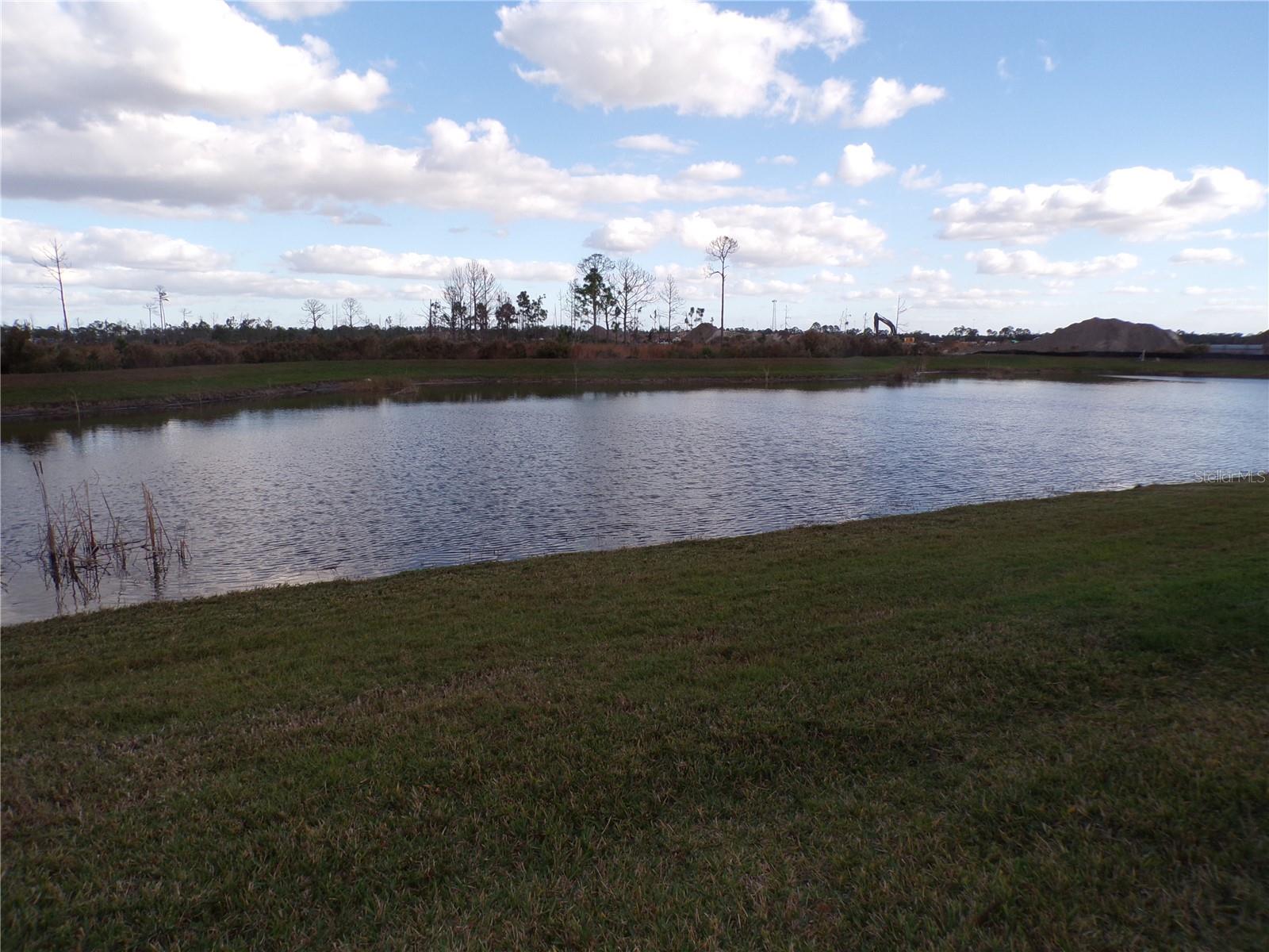 Image 22 of 50 For 11369 Willowleaf Boulevard