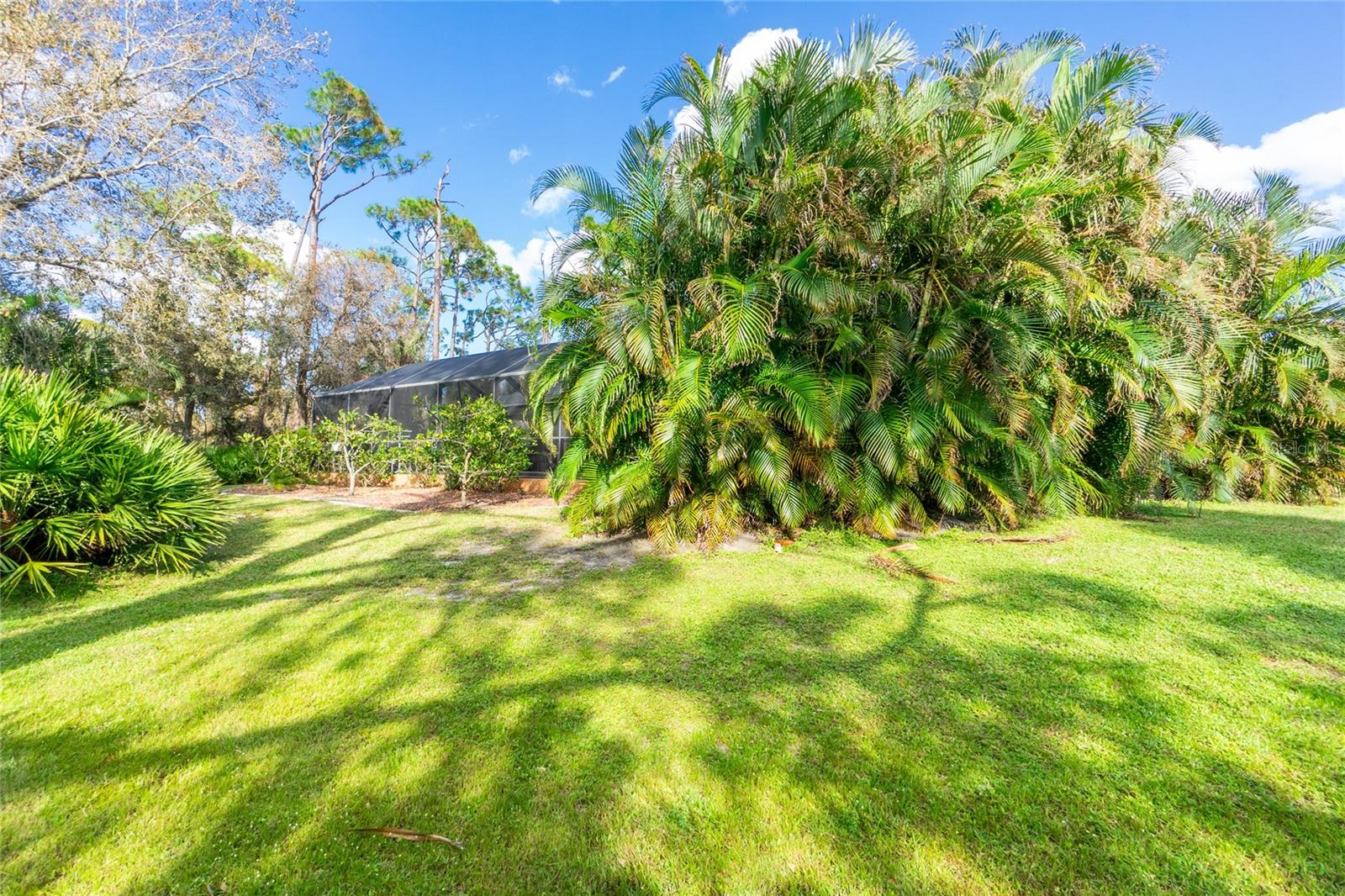 Listing photo id 37 for 4265 Durant Street