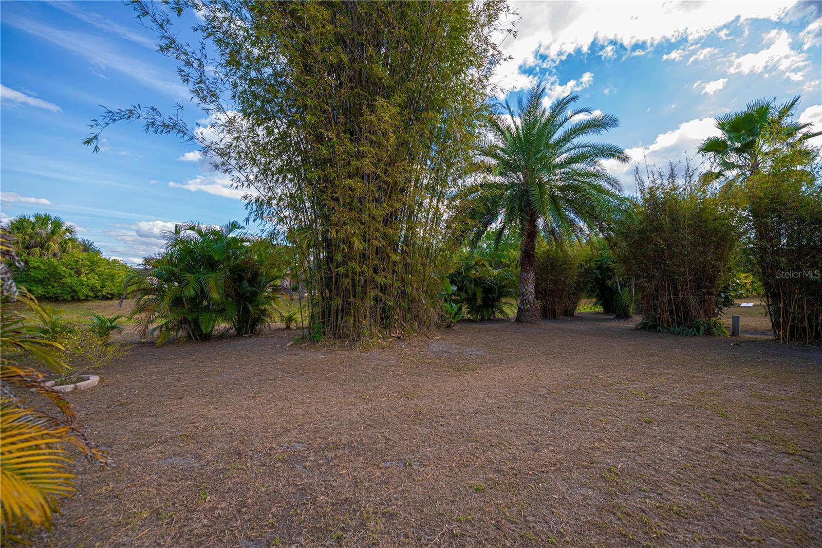 Image 45 of 62 For 192 Antofagasta Street