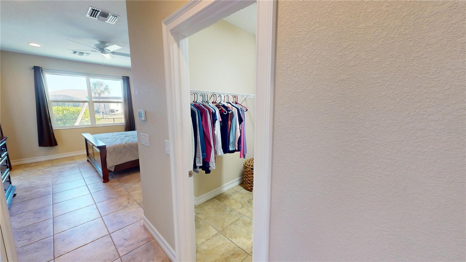 Image 16 of 34 For 7342 Ficus Tree