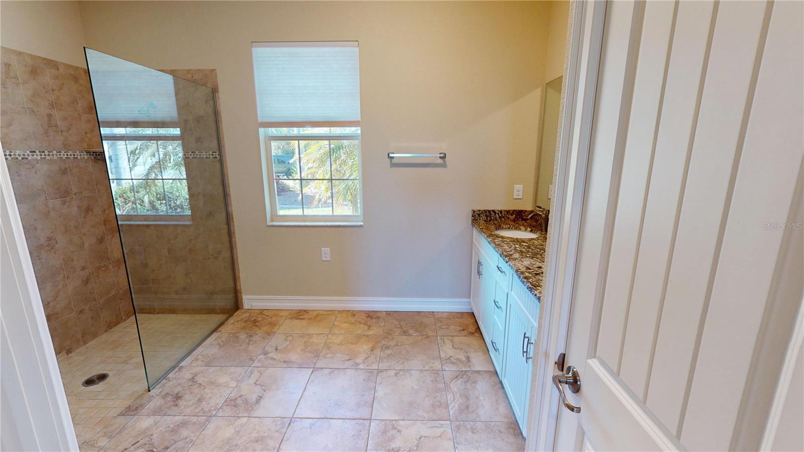 Image 17 of 34 For 7342 Ficus Tree