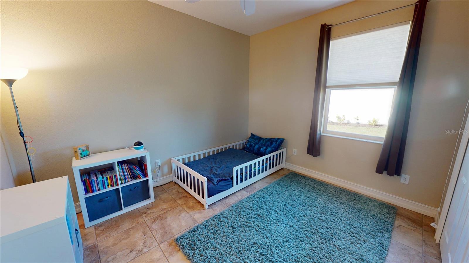 Image 21 of 34 For 7342 Ficus Tree