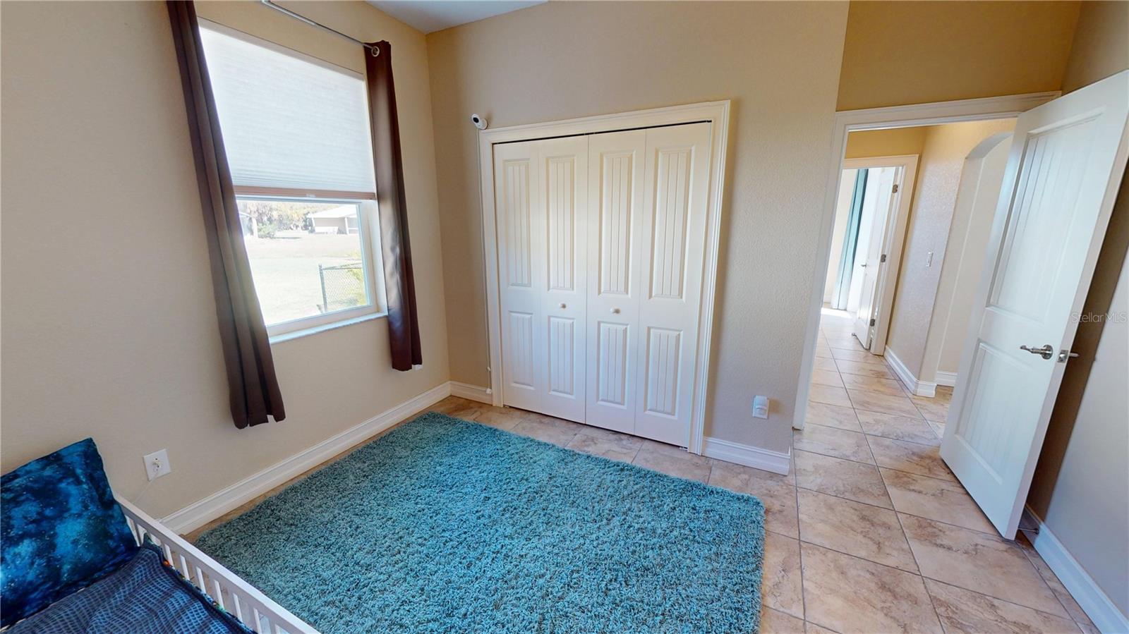 Image 22 of 34 For 7342 Ficus Tree