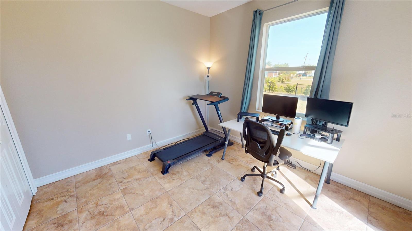 Image 24 of 34 For 7342 Ficus Tree