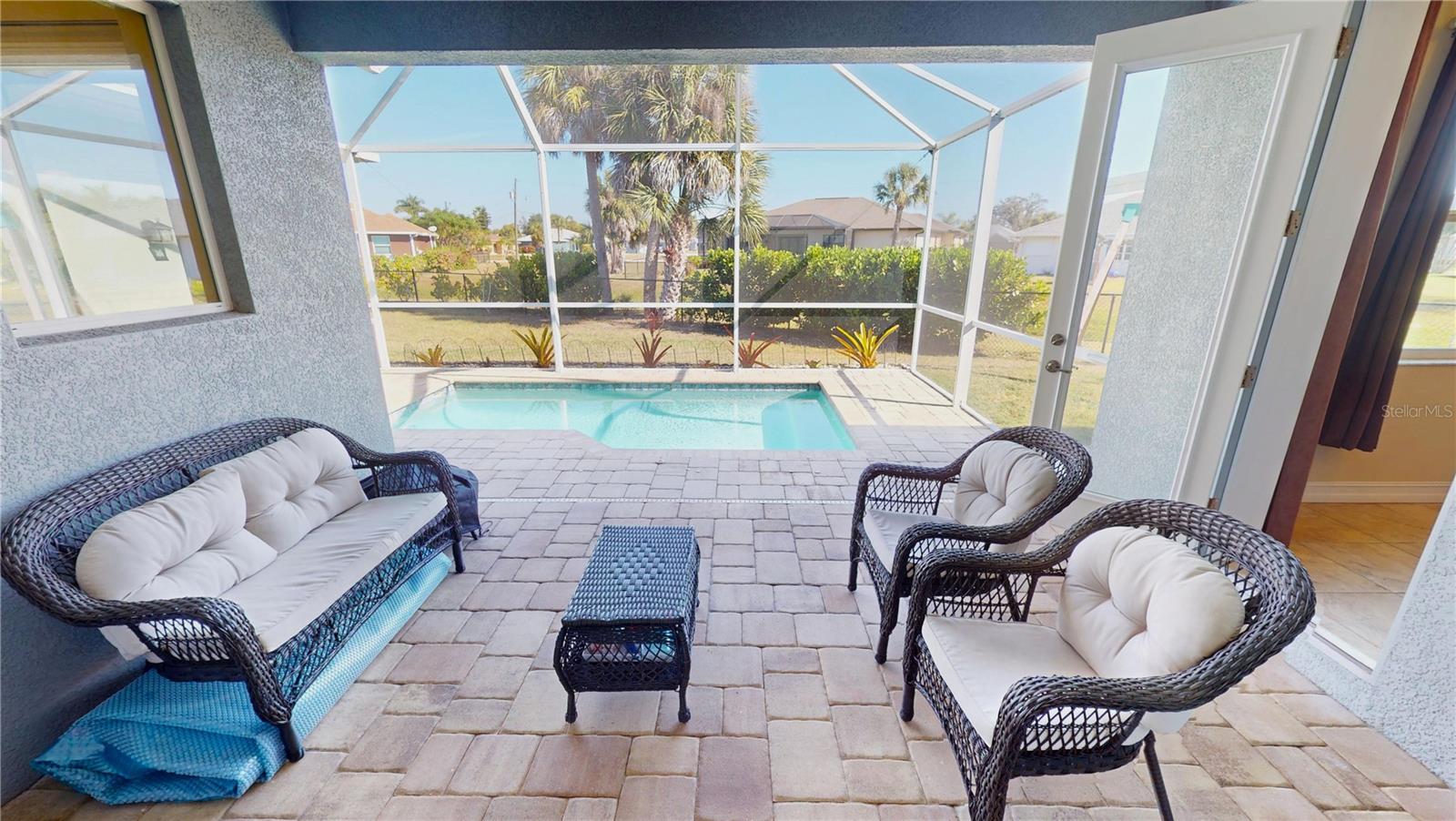 Image 27 of 34 For 7342 Ficus Tree