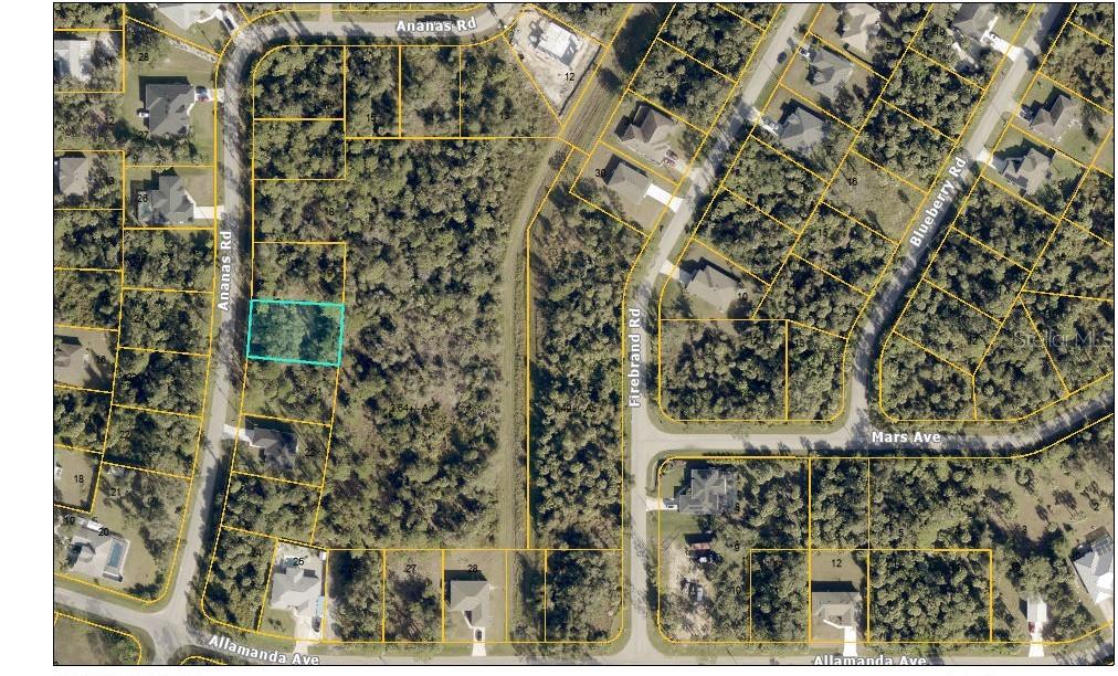 Image 5 of 8 For  Ananas Road 