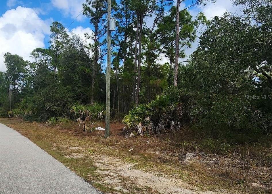 Image 6 of 8 For  Ananas Road 