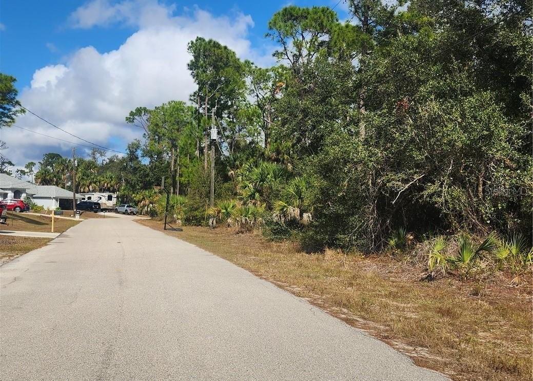 Image 8 of 8 For  Ananas Road 