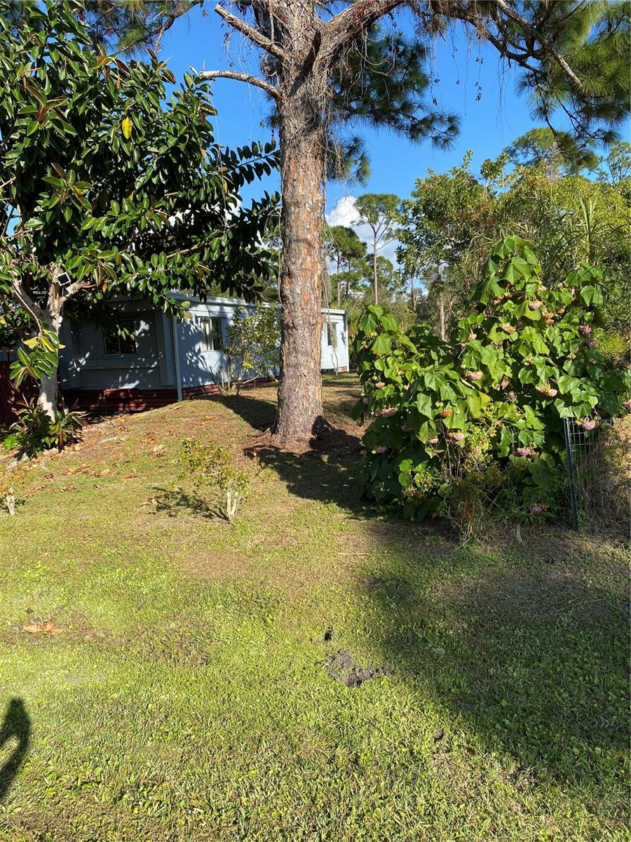 Image 17 of 44 For 11176 Grapefruit Lane