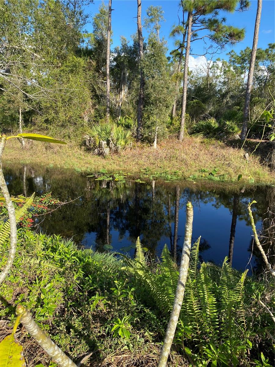 Image 25 of 44 For 11176 Grapefruit Lane