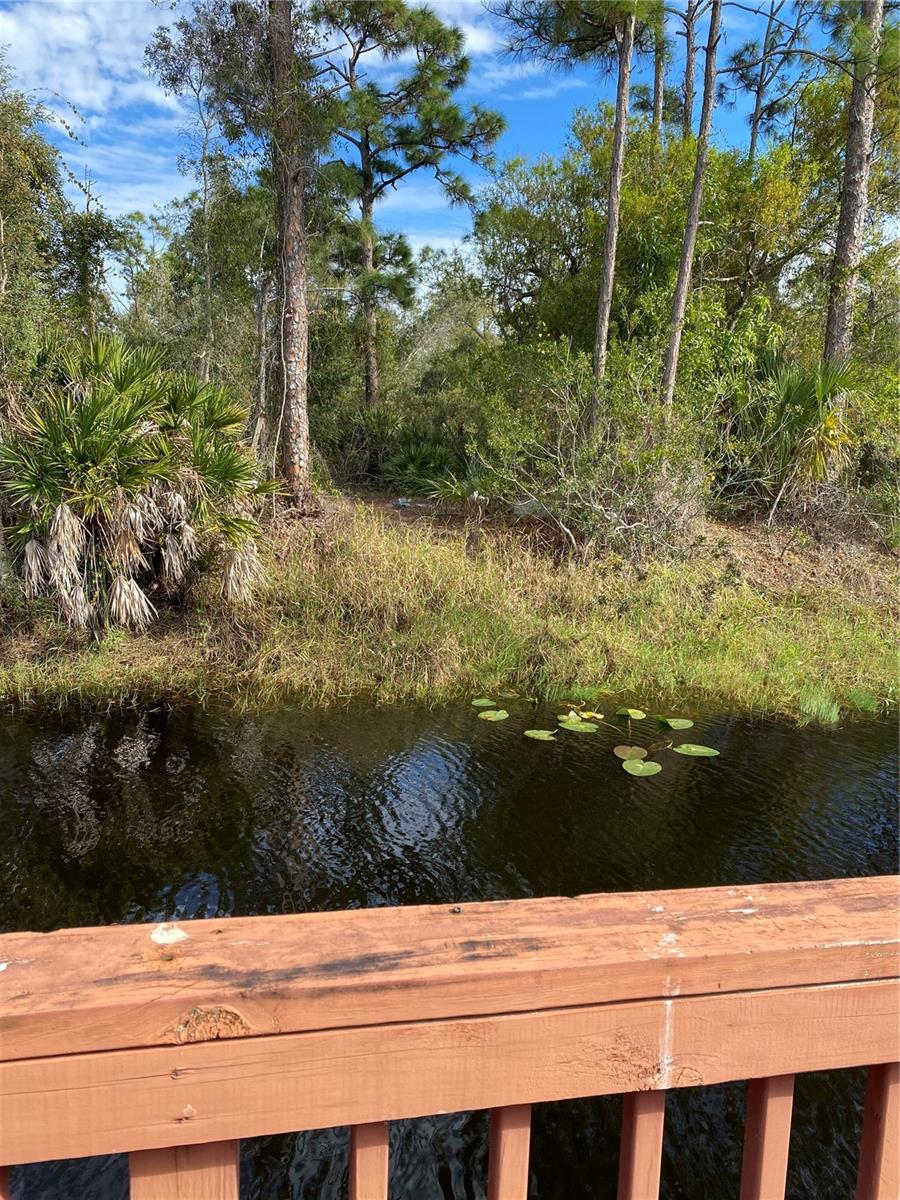 Image 44 of 44 For 11176 Grapefruit Lane