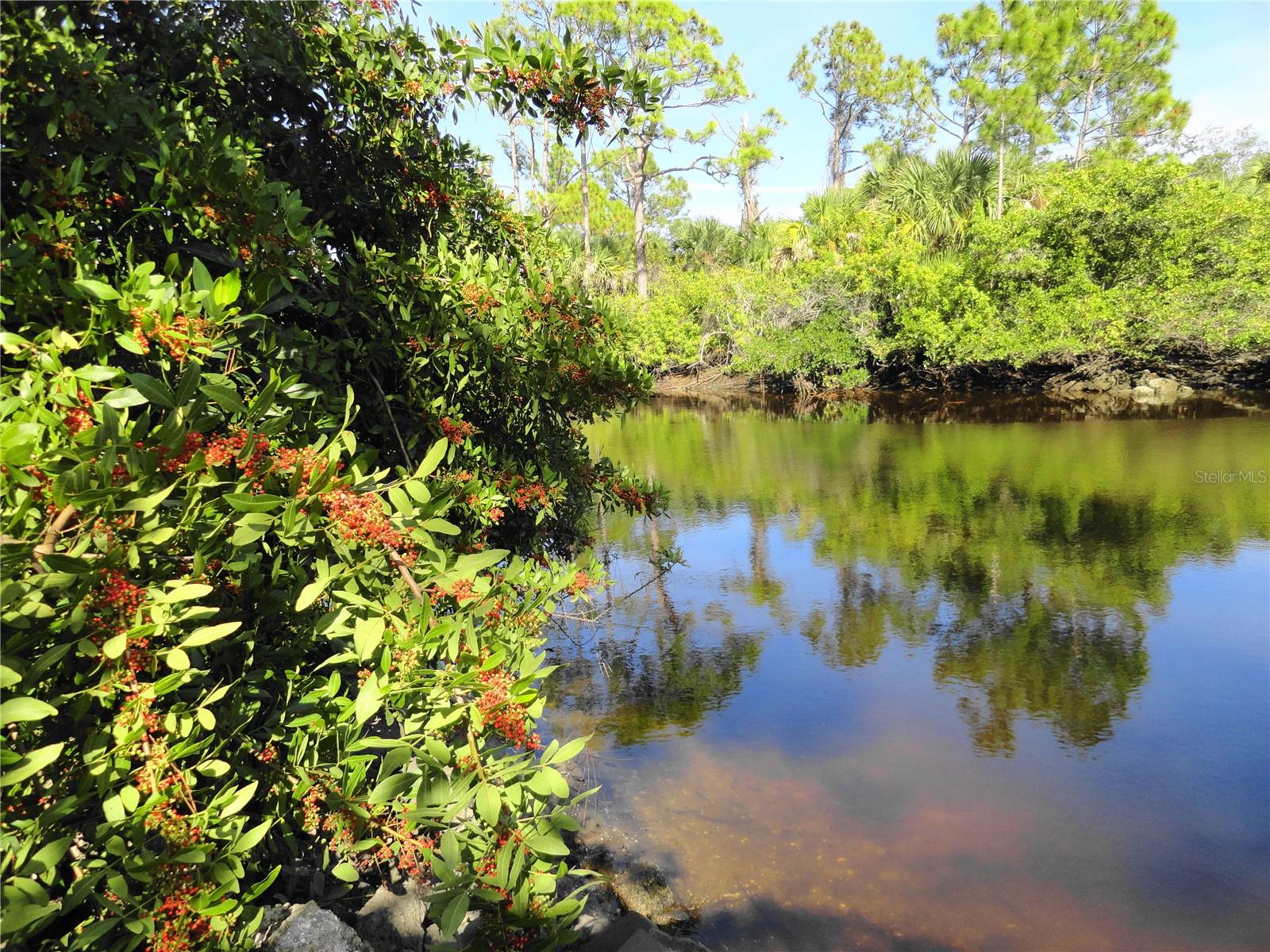 Image 2 of 12 For 2146 Mccleod Street