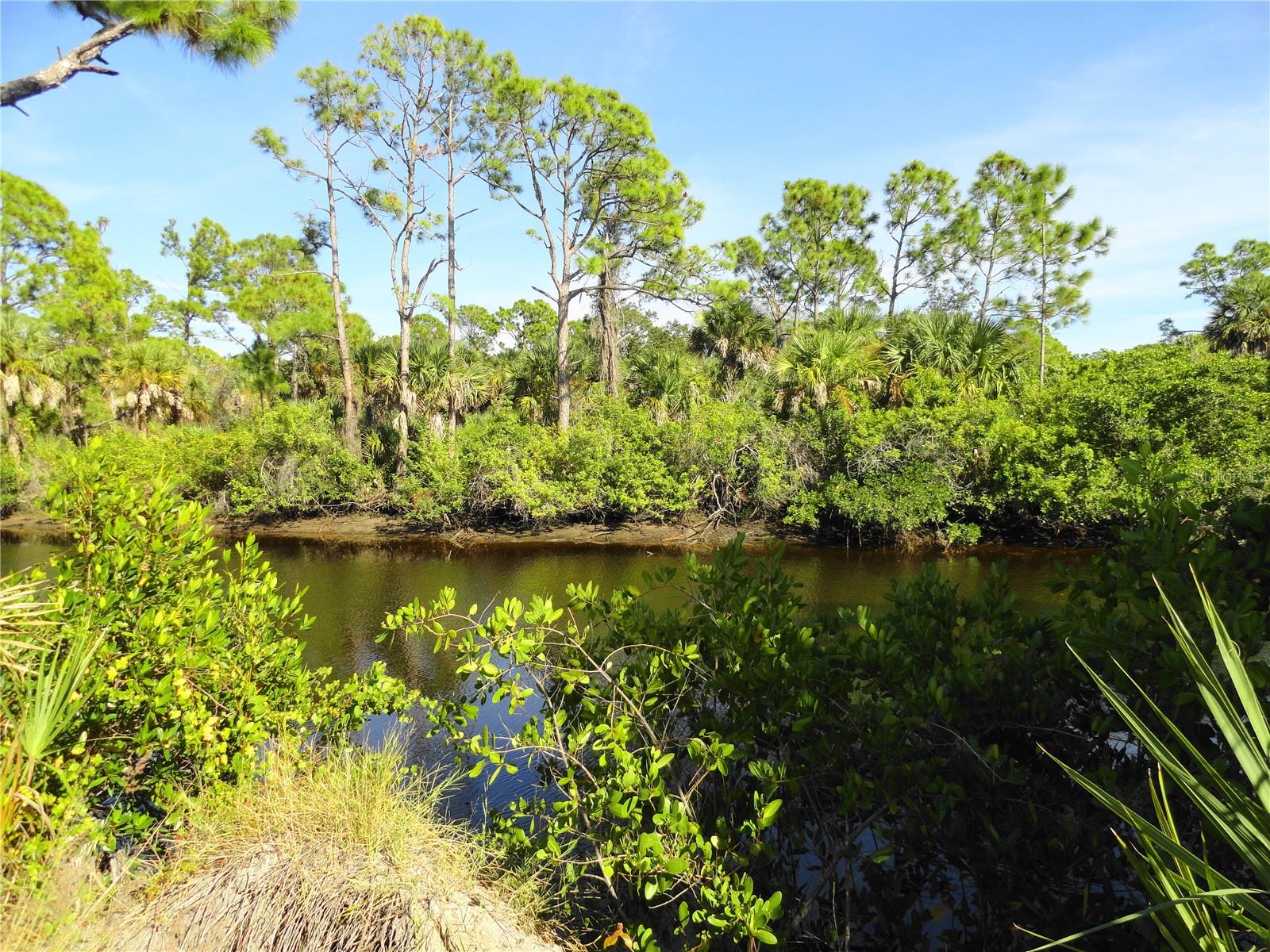 Image 3 of 12 For 2146 Mccleod Street