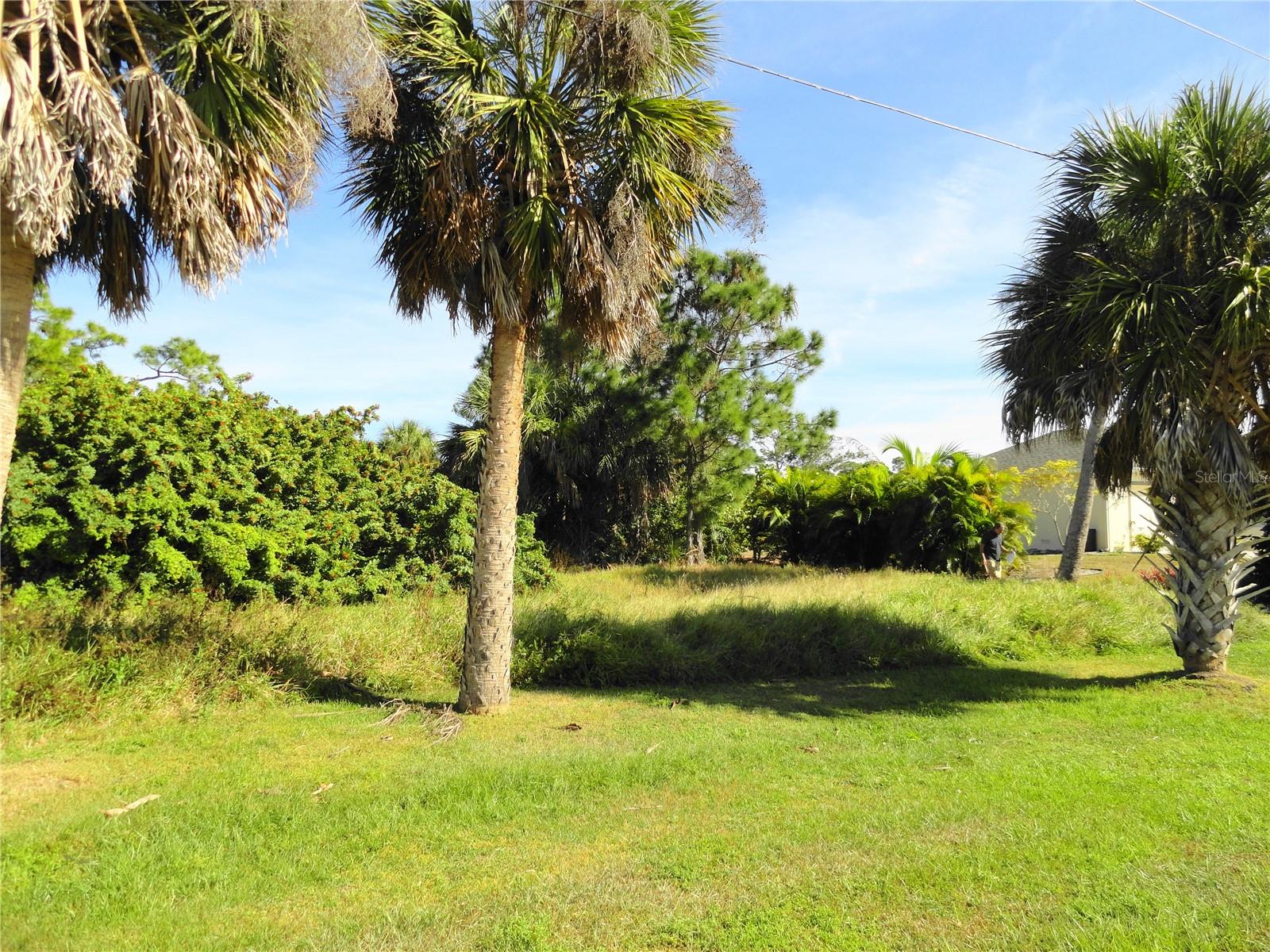 Image 5 of 12 For 2146 Mccleod Street