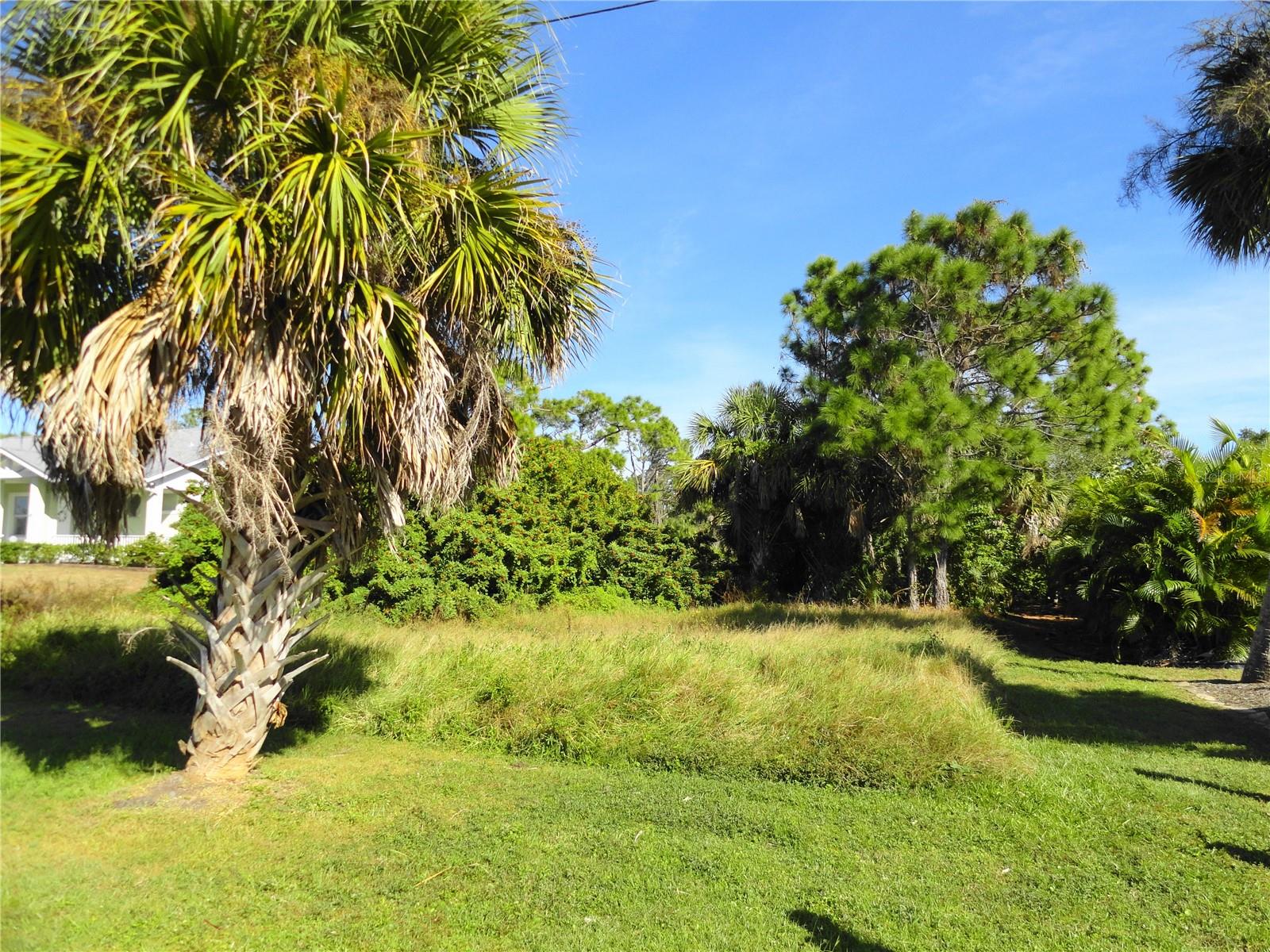 Image 6 of 12 For 2146 Mccleod Street