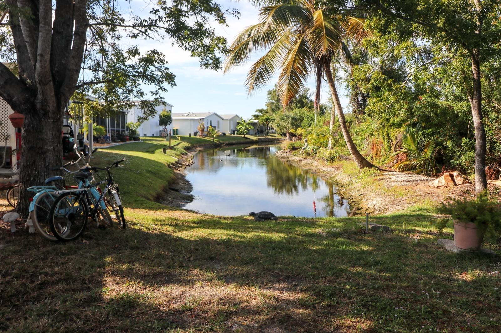 Image 26 of 27 For 5601 Duncan # 125