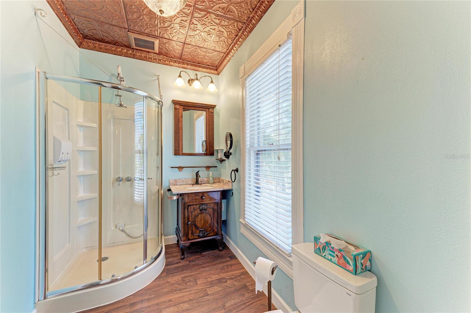 Image 42 of 79 For 123 Gill Street